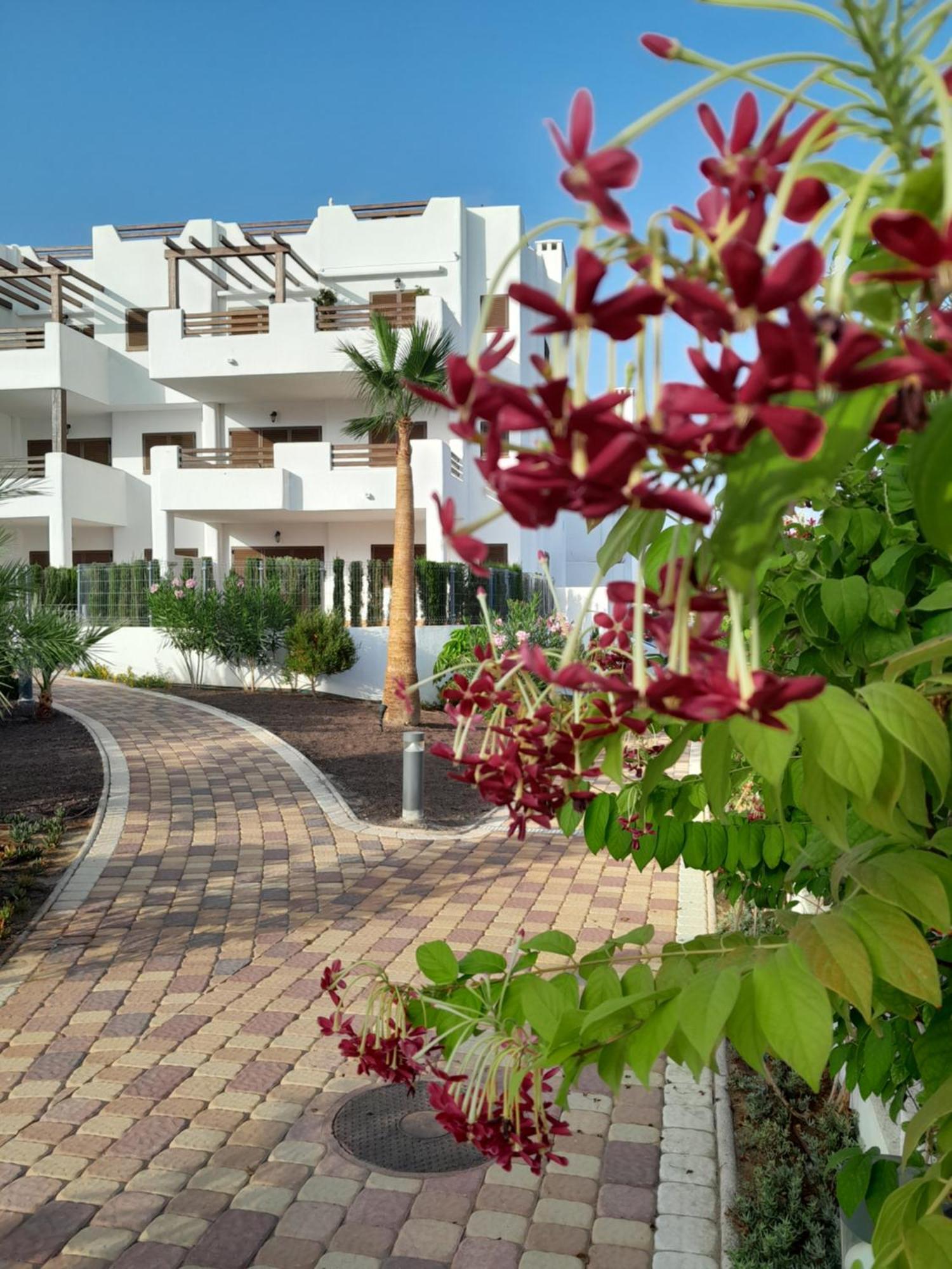 Shuske Apartment Пулпи Екстериор снимка